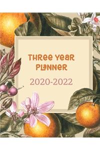 2020-2022 Three Year Planner