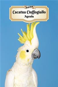 2020 Cacatua Ciuffogiallo Agenda