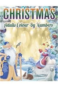 Christmas Adults Colour By Numbers