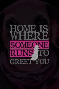 Home Is Where Someone Runs To Greet You