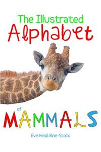 The Illustrated Alphabet of Mammals