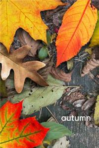 Autumn