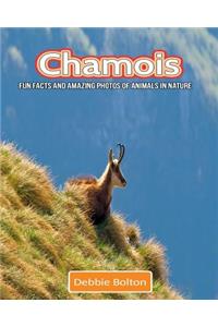 Chamois: Fun Facts and Amazing Photos of Animals in Nature