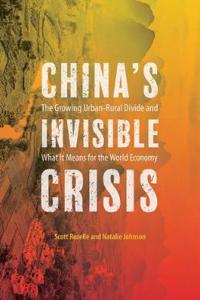 CHINAS INVISIBLE CRISIS