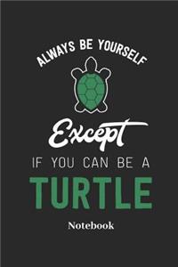 Always Be Yourself Except If You Can Be a Turtle Notebook