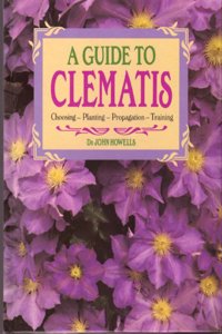 Clematis