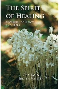 Spirit of Healing