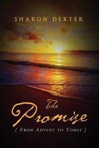 Promise