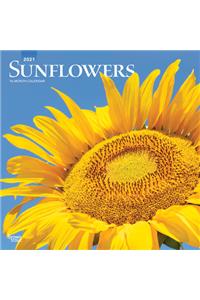 Sunflowers 2021 Square