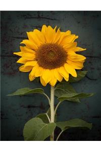 Sunflower Notebook