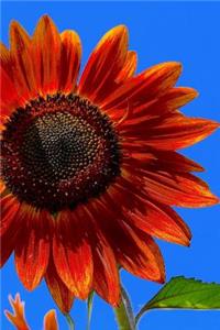 Red Sunflower Summer Journal