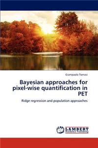 Bayesian Approaches for Pixel-Wise Quantification in Pet