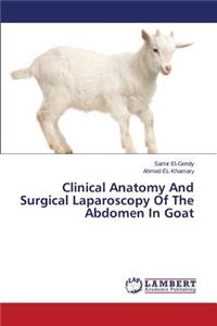 Clinical Anatomy and Surgical Laparoscopy of the Abdomen in Goat