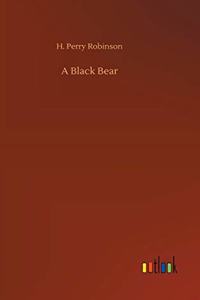 Black Bear