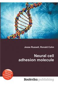 Neural Cell Adhesion Molecule
