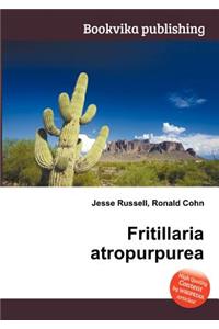 Fritillaria Atropurpurea