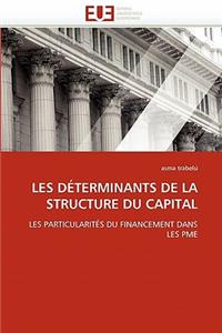 Les Déterminants de la Structure Du Capital
