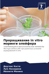 Проращивание in vitro моринги олейфера