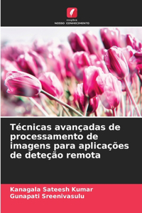 Técnicas avançadas de processamento de imagens para aplicações de deteção remota