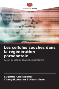 Les cellules souches dans la régénération parodontale