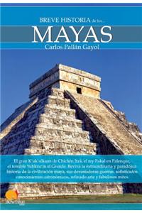 Breve Historia de Los Mayas