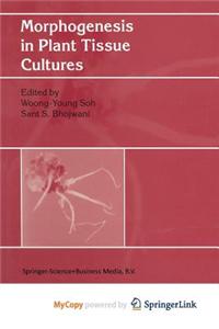 Morphogenesis in Plant Tissue Cultures