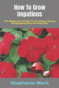 How To Grow Impatiens