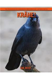 Krähe! Ein pädagogisches Kinderbuch über Krähe mit lustigen Fakten