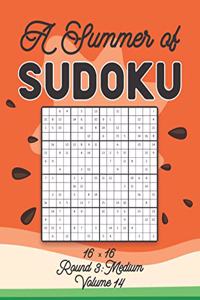 A Summer of Sudoku 16 x 16 Round 3