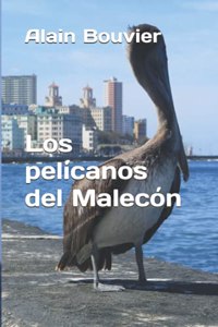 Los pelícanos del Malecón