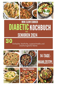 Mini Slow Cooker Diabetic Kochbuch Für Senioren 2024
