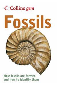 Fossils