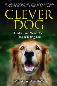 Clever Dog