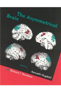 The The Asymmetrical Brain Asymmetrical Brain
