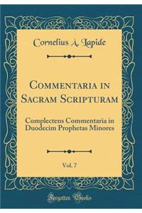 Commentaria in Sacram Scripturam, Vol. 7: Complectens Commentaria in Duodecim Prophetas Minores (Classic Reprint)