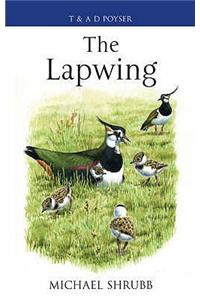 The Lapwing