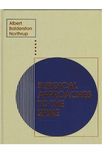 Surgical Approaches to the Spine