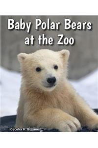 Baby Polar Bears at the Zoo