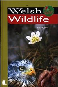 It's Wales: Welsh Wildlife