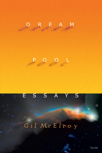 Dream Pool Essays