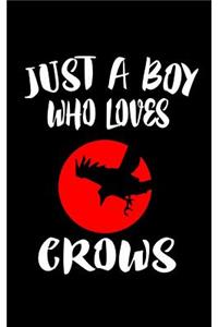 Just A Boy Who Loves Crows