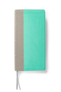 CSB Lifeway Women's Bible, Gray/Mint LeatherTouch, Indexed