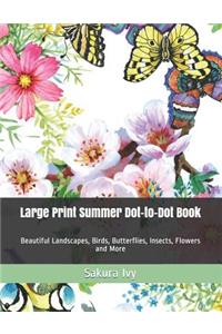 Large Print Summer Dot-to-Dot Book