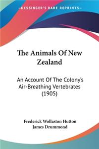 Animals Of New Zealand