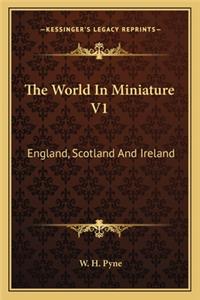World in Miniature V1