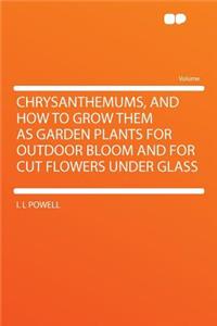 Chrysanthemums, and How to Grow Them as Garden Plants for Outdoor Bloom and for Cut Flowers Under Glass
