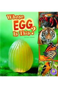 Whose Egg Is This?