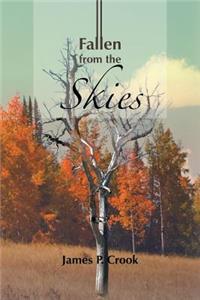 Fallen from the Skies