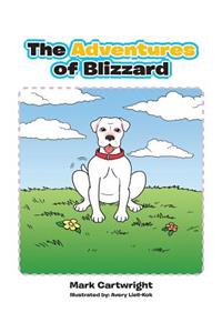 Adventures of Blizzard