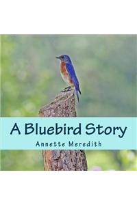 A Bluebird Story